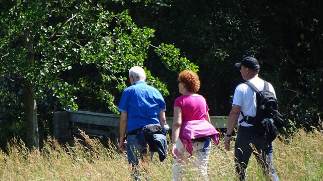 Singels en Essen wandeltocht (zondag  9 juni 2019)